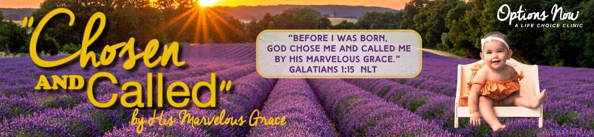 Life-Affirming Organization